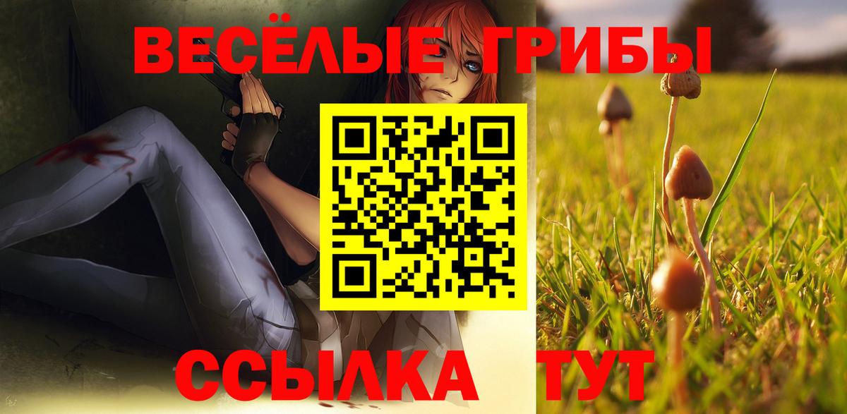 Галлюциногенные грибы ЛСД Псков